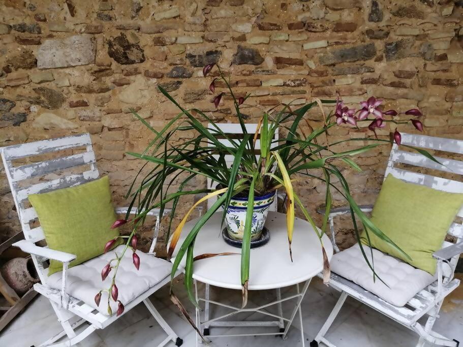 Orégano Appartement