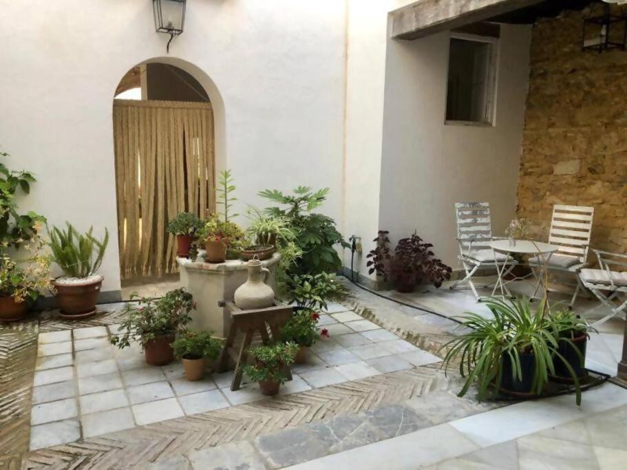 Orégano Sanlúcar de Barrameda